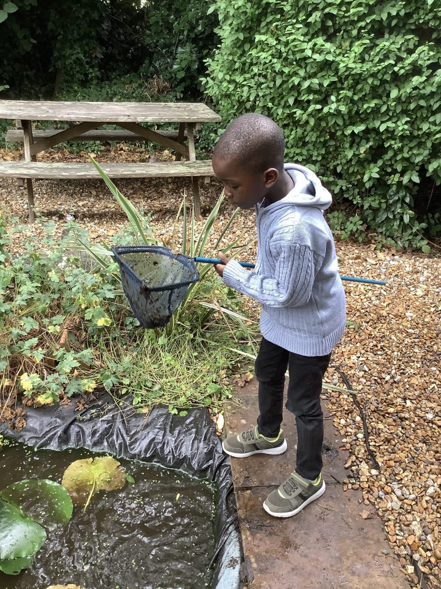 Pond Dipping